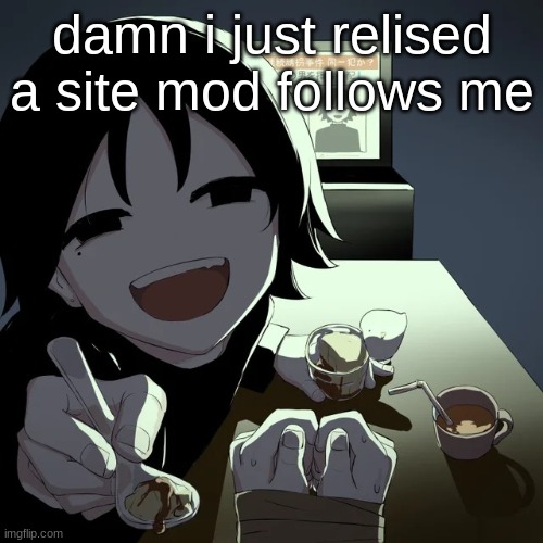 avogado6 | damn i just realised a site mod follows me | image tagged in avogado6 | made w/ Imgflip meme maker