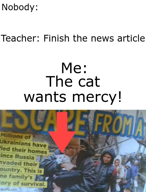 Mercy cat | Nobody:; Teacher: Finish the news article; Me:; The cat wants mercy! | image tagged in lol | made w/ Imgflip meme maker