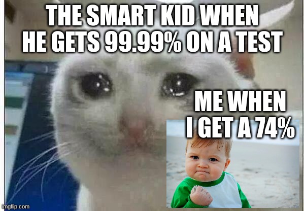 DUDE I GOT A 74 | THE SMART KID WHEN HE GETS 99.99% ON A TEST; ME WHEN I GET A 74% | image tagged in crying cat | made w/ Imgflip meme maker