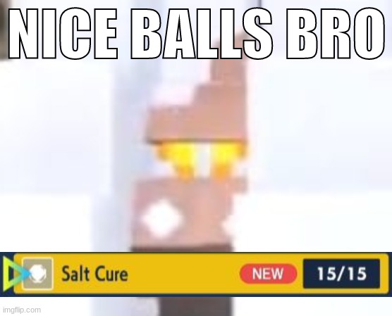 NICE BALLS BRO | made w/ Imgflip meme maker