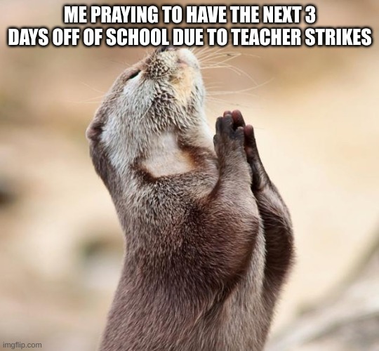 come on fellas |  ME PRAYING TO HAVE THE NEXT 3 DAYS OFF OF SCHOOL DUE TO TEACHER STRIKES | image tagged in animal praying,school,middle school,prayer,memes | made w/ Imgflip meme maker