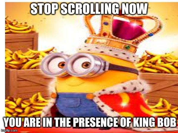 king bob | STOP SCROLLING NOW; YOU ARE IN THE PRESENCE OF KING BOB | image tagged in minions,minions king bob | made w/ Imgflip meme maker