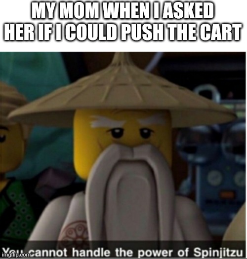 Lego Meme | MY MOM WHEN I ASKED HER IF I COULD PUSH THE CART | image tagged in you cannot handle the power of spinjitzu | made w/ Imgflip meme maker
