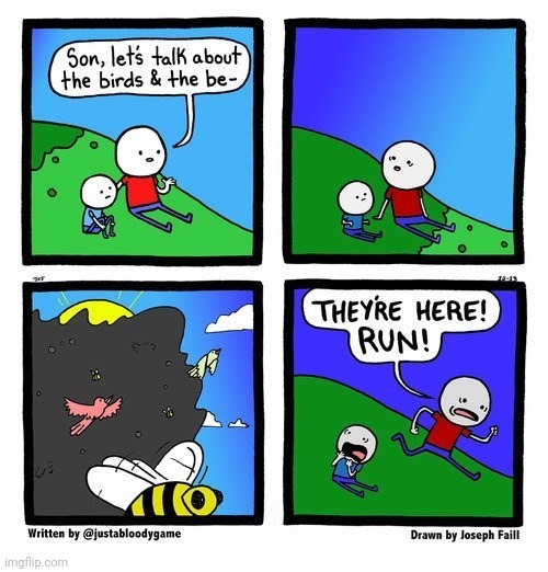 The birds and the bees | image tagged in the birds and the bees,birds,bees,bird,comics,comics/cartoons | made w/ Imgflip meme maker