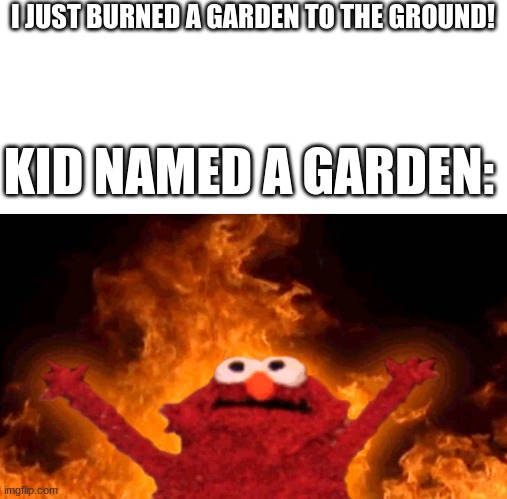 elmo fire | I JUST BURNED A GARDEN TO THE GROUND! KID NAMED A GARDEN: | image tagged in elmo fire | made w/ Imgflip meme maker