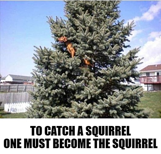 TO CATCH A SQUIRREL ONE MUST BECOME THE SQUIRREL | made w/ Imgflip meme maker