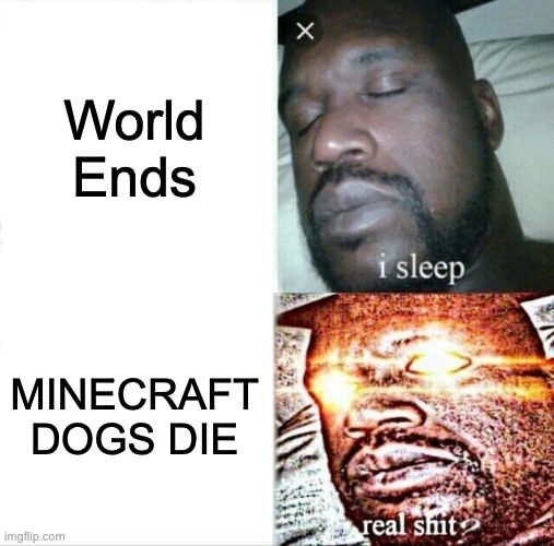 Sleeping Shaq | World Ends; MINECRAFT DOGS DIE | image tagged in memes,sleeping shaq | made w/ Imgflip meme maker