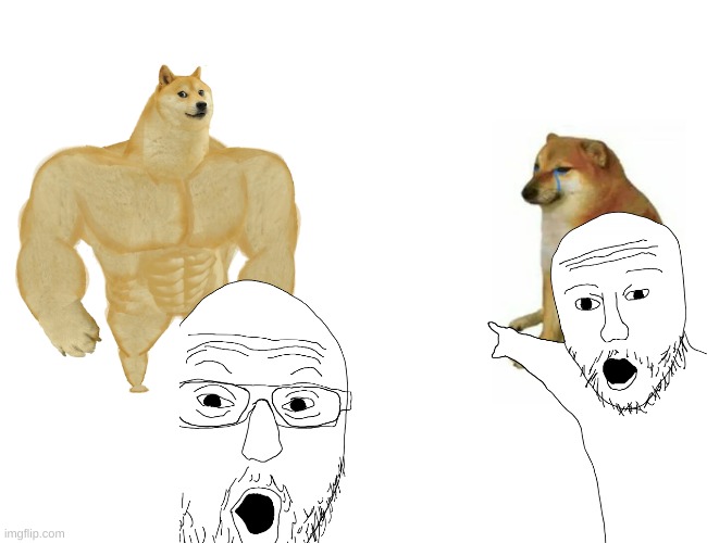 guy we found thems | image tagged in buff doge vs cheems | made w/ Imgflip meme maker