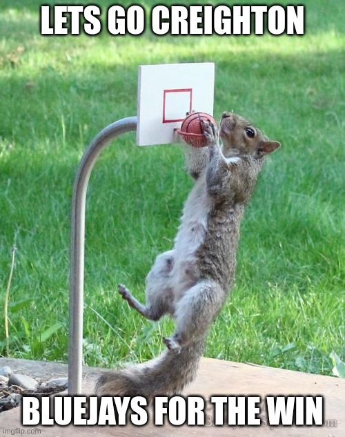 Squirrel basketball | LETS GO CREIGHTON; BLUEJAYS FOR THE WIN | image tagged in squirrel basketball | made w/ Imgflip meme maker
