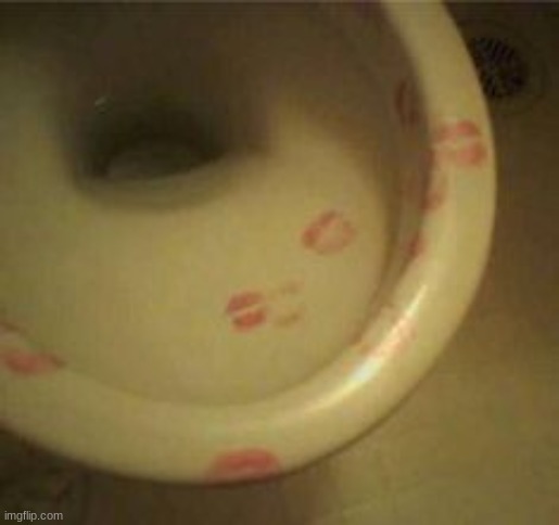 someone must have been so single so they kissed the toilet | made w/ Imgflip meme maker