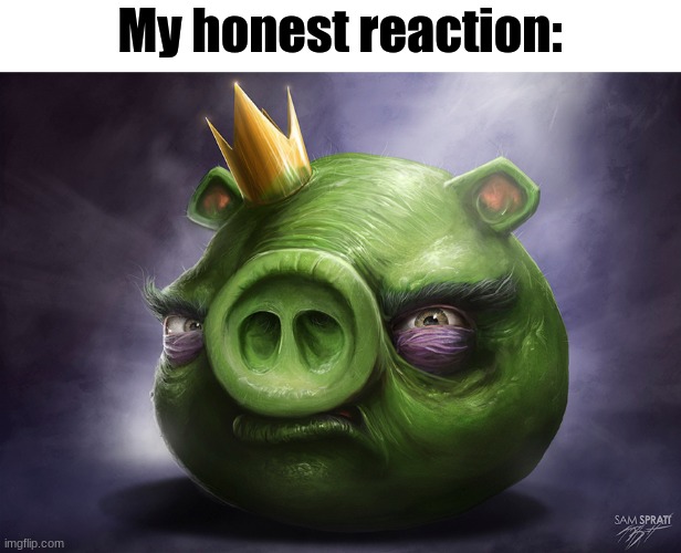 hyper realistic angry bird pig | My honest reaction: | image tagged in hyper realistic angry bird pig | made w/ Imgflip meme maker