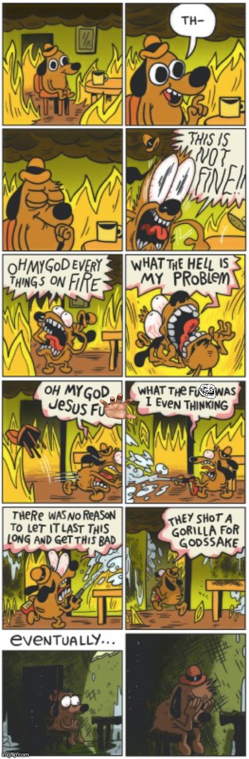 this is not fine | image tagged in this is not fine,memes,repost,funny | made w/ Imgflip meme maker