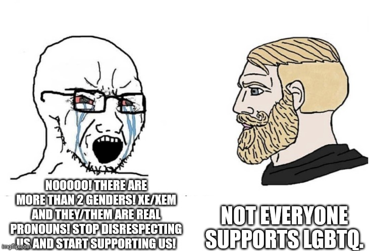 Soyboy Vs Yes Chad | NOT EVERYONE SUPPORTS LGBTQ. NOOOOO! THERE ARE MORE THAN 2 GENDERS! XE/XEM AND THEY/THEM ARE REAL PRONOUNS! STOP DISRESPECTING US AND START SUPPORTING US! | image tagged in soyboy vs yes chad | made w/ Imgflip meme maker