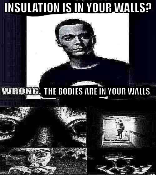 guh | INSULATION IS IN YOUR WALLS? THE BODIES ARE IN YOUR WALLS. | made w/ Imgflip meme maker