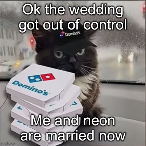 dominos cat | Ok the wedding got out of control; Me and neon are married now | image tagged in dominos cat | made w/ Imgflip meme maker