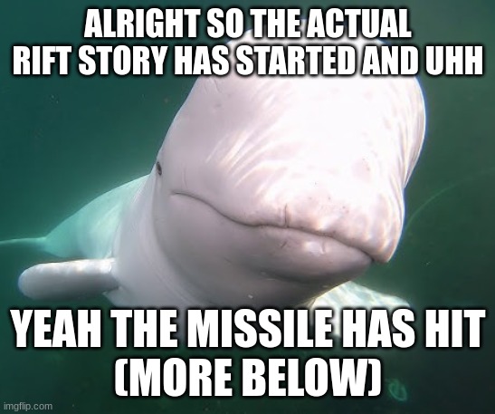 Beluga stare | ALRIGHT SO THE ACTUAL RIFT STORY HAS STARTED AND UHH; YEAH THE MISSILE HAS HIT
(MORE BELOW) | image tagged in beluga stare | made w/ Imgflip meme maker