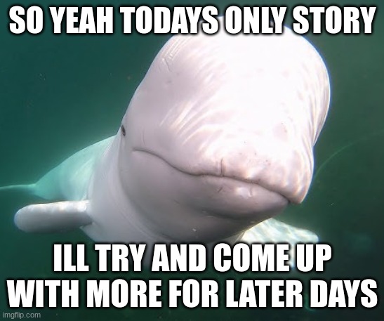 Beluga stare | SO YEAH TODAYS ONLY STORY; ILL TRY AND COME UP WITH MORE FOR LATER DAYS | image tagged in beluga stare | made w/ Imgflip meme maker