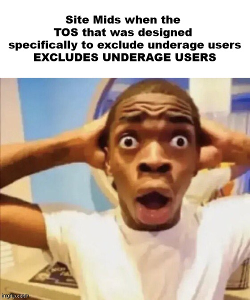 in shock | Site Mids when the 
TOS that was designed 
specifically to exclude underage users
EXCLUDES UNDERAGE USERS | image tagged in in shock | made w/ Imgflip meme maker