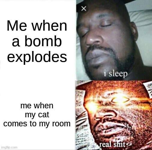 Sleeping Shaq | Me when a bomb explodes; me when my cat comes to my room | image tagged in memes,sleeping shaq | made w/ Imgflip meme maker