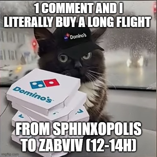 Dominos Cat | 1 COMMENT AND I LITERALLY BUY A LONG FLIGHT; FROM SPHINXOPOLIS TO ZABVIV (12-14H) | image tagged in dominos cat | made w/ Imgflip meme maker