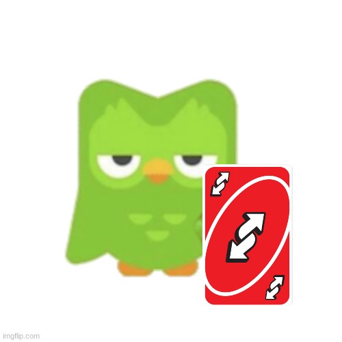 Duolingo | image tagged in duolingo | made w/ Imgflip meme maker