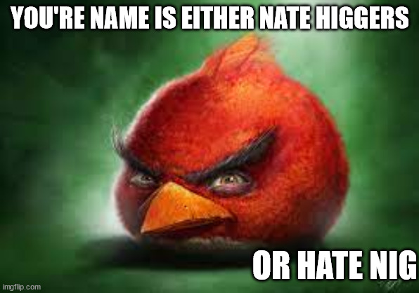 Realistic Red Angry Birds | YOU'RE NAME IS EITHER NATE HIGGERS; OR HATE NIG | image tagged in realistic red angry birds | made w/ Imgflip meme maker