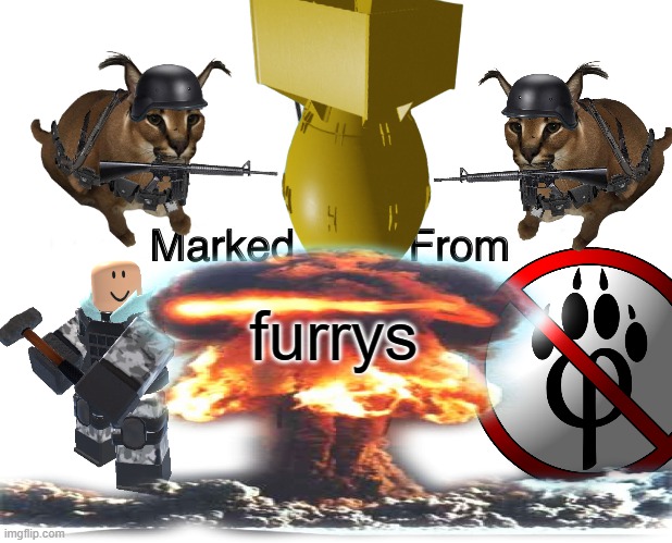 Anti furry | furrys | image tagged in so true memes,so you have chosen death,anti furry | made w/ Imgflip meme maker