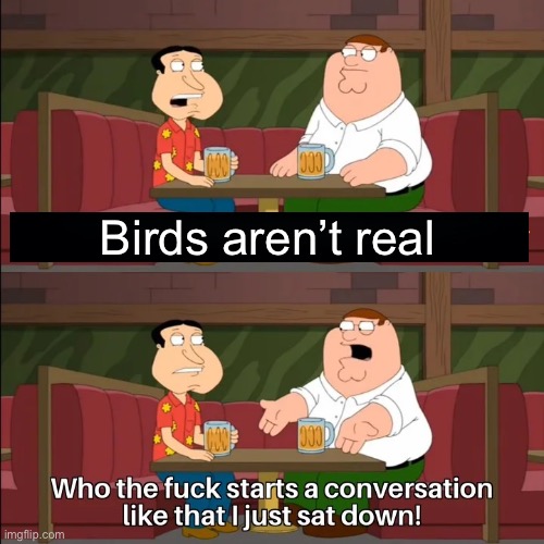 Who the f**k starts a conversation like that I just sat down! | Birds aren’t real | image tagged in who the f k starts a conversation like that i just sat down | made w/ Imgflip meme maker