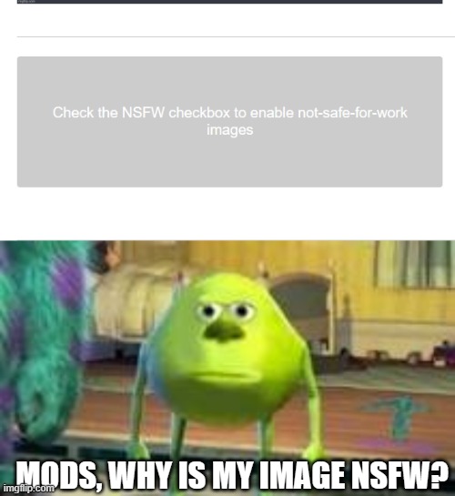 I have Erectile Dysfunction | MODS, WHY IS MY IMAGE NSFW? | image tagged in mike w | made w/ Imgflip meme maker