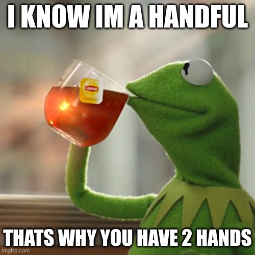 this describes me perfectly | I KNOW IM A HANDFUL; THATS WHY YOU HAVE 2 HANDS | image tagged in memes,but that's none of my business,kermit the frog | made w/ Imgflip meme maker
