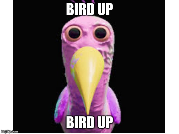bird up | BIRD UP; BIRD UP | image tagged in bird memes,opila bird | made w/ Imgflip meme maker