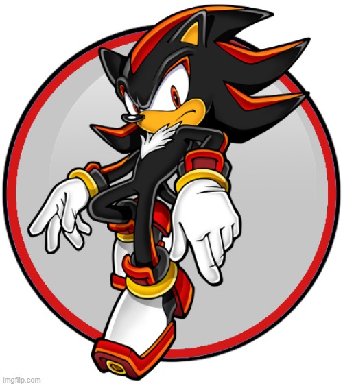 Shadow the Hedgehog | image tagged in shadow the hedgehog | made w/ Imgflip meme maker