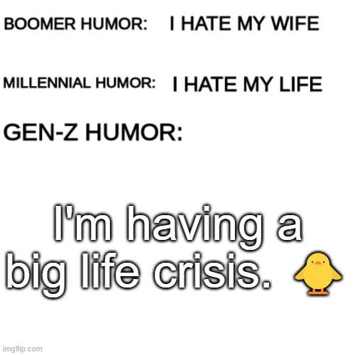 yes | I'm having a big life crisis. 🐥 | image tagged in boomer humor millennial humor gen-z humor,memes,funny,gen z humor,gen z,why are you reading this | made w/ Imgflip meme maker