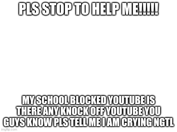 Idc what it is tell me all youtube things | PLS STOP TO HELP ME!!!!! MY SCHOOL BLOCKED YOUTUBE IS THERE ANY KNOCK OFF YOUTUBE YOU GUYS KNOW PLS TELL ME I AM CRYING NGTL | image tagged in help me | made w/ Imgflip meme maker