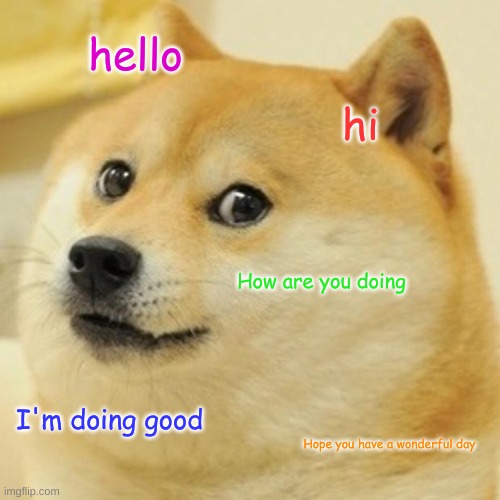 Doge | hello; hi; How are you doing; I'm doing good; Hope you have a wonderful day | image tagged in memes,doge | made w/ Imgflip meme maker