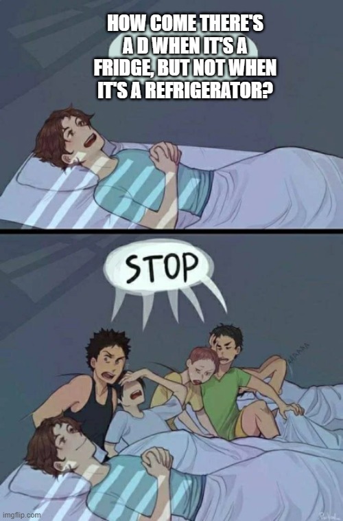 Sleepover Stop | HOW COME THERE'S A D WHEN IT'S A FRIDGE, BUT NOT WHEN IT'S A REFRIGERATOR? | image tagged in sleepover stop | made w/ Imgflip meme maker