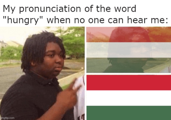 Hungary | image tagged in memes,funny | made w/ Imgflip meme maker