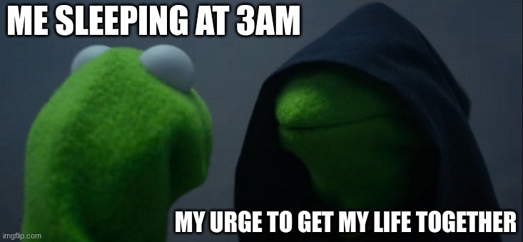 When Sleep | ME SLEEPING AT 3AM; MY URGE TO GET MY LIFE TOGETHER | image tagged in memes,evil kermit | made w/ Imgflip meme maker