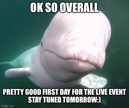 Beluga stare | OK SO OVERALL; PRETTY GOOD FIRST DAY FOR THE LIVE EVENT
STAY TUNED TOMORROW:) | image tagged in beluga stare | made w/ Imgflip meme maker
