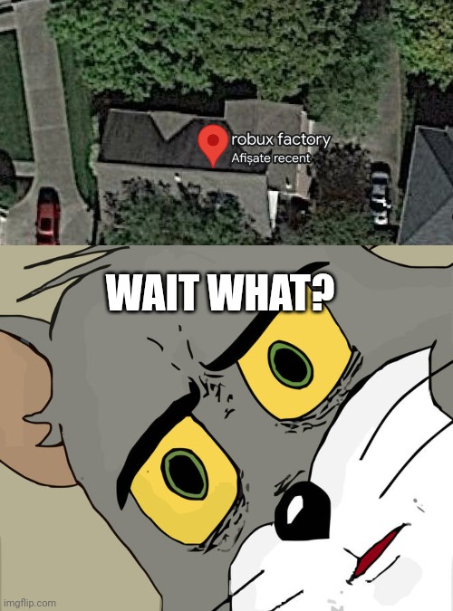 WAIT WHAT? | image tagged in memes,unsettled tom,funny,roblox,funny memes,google maps | made w/ Imgflip meme maker