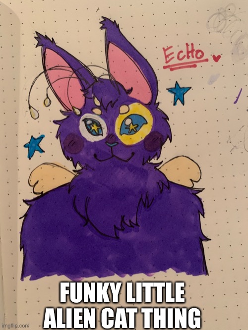 Looks VERY wonky but i think they are cute!- | FUNKY LITTLE ALIEN CAT THING | made w/ Imgflip meme maker
