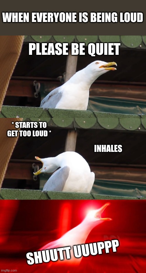 Too loud | WHEN EVERYONE IS BEING LOUD; PLEASE BE QUIET; * STARTS TO GET TOO LOUD *; INHALES; SHUUTT UUUPPP | image tagged in inhaling seagull | made w/ Imgflip meme maker
