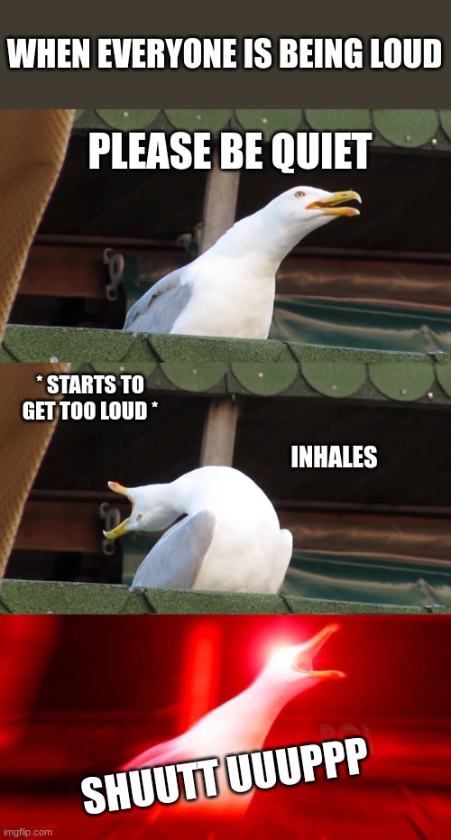Too Loud Imgflip