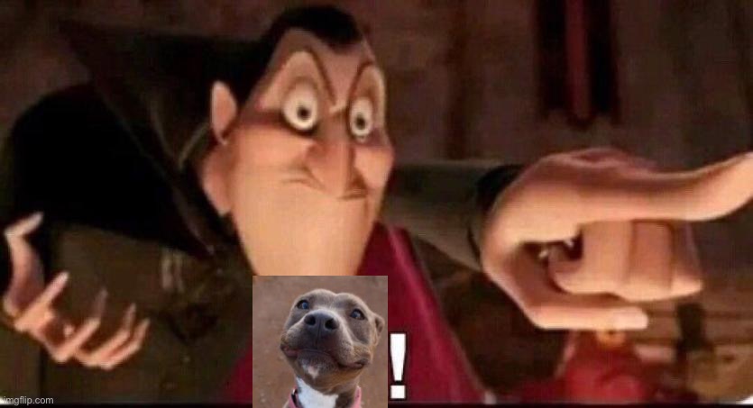 Pitbull located | image tagged in dracula point | made w/ Imgflip meme maker