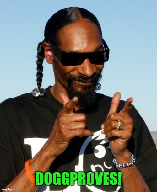 Snoop Dogg approves | DOGGPROVES! | image tagged in snoop dogg approves | made w/ Imgflip meme maker
