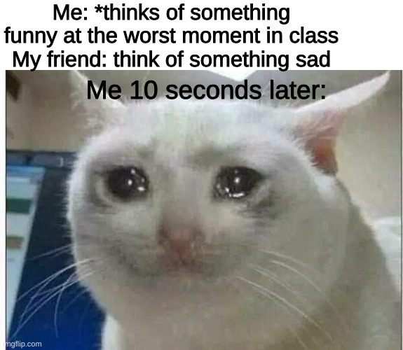 true story | Me: *thinks of something funny at the worst moment in class
My friend: think of something sad; Me 10 seconds later: | image tagged in crying cat | made w/ Imgflip meme maker