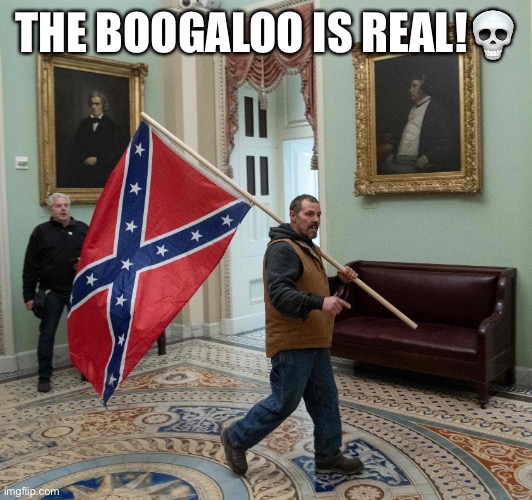 capitol break in confederate flag cropped | THE BOOGALOO IS REAL!? | image tagged in capitol break in confederate flag cropped | made w/ Imgflip meme maker