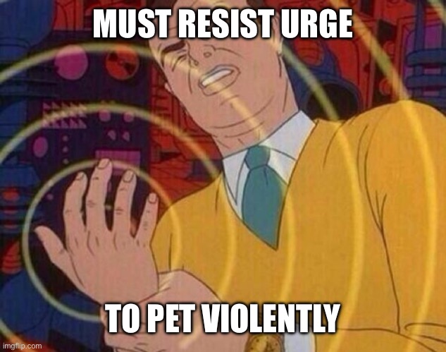 Must resist urge | MUST RESIST URGE TO PET VIOLENTLY | image tagged in must resist urge | made w/ Imgflip meme maker