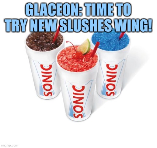 New slushes! | GLACEON: TIME TO TRY NEW SLUSHES WING! | image tagged in no slushy | made w/ Imgflip meme maker