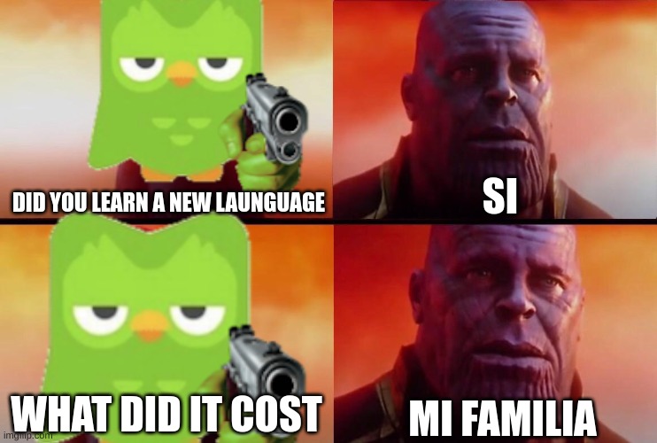 What did it cost | SI; DID YOU LEARN A NEW LAUNGUAGE; MI FAMILIA; WHAT DID IT COST | image tagged in duolingo,thanos | made w/ Imgflip meme maker